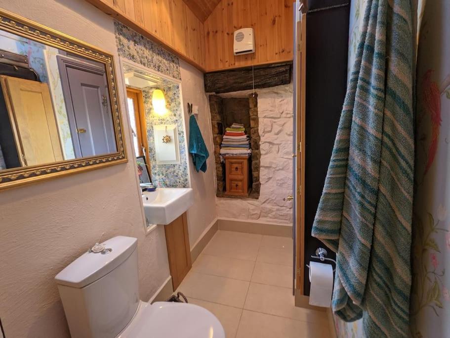 Secluded Private Cottage Hot-Tub, Sauna & Fire-Pit Carrick-on-Shannon Ngoại thất bức ảnh