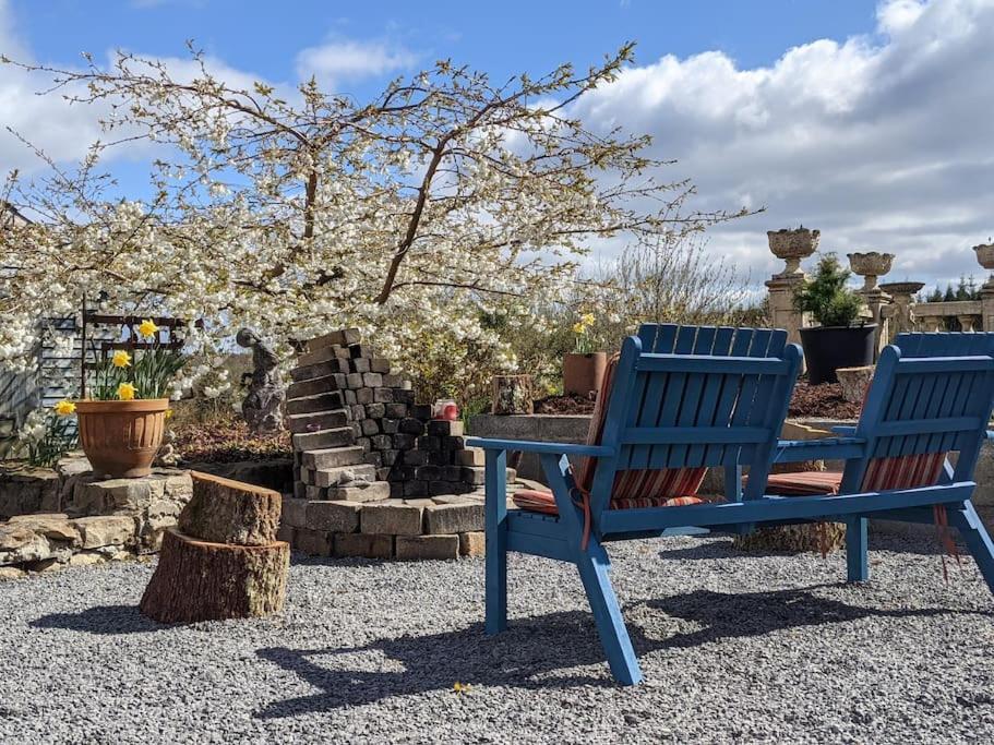 Secluded Private Cottage Hot-Tub, Sauna & Fire-Pit Carrick-on-Shannon Ngoại thất bức ảnh