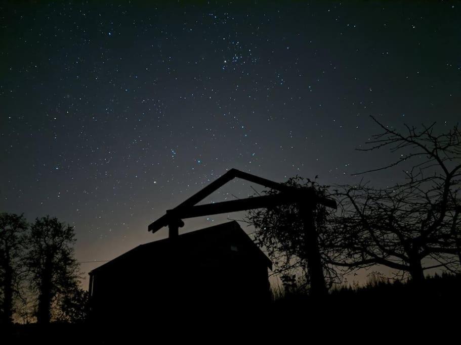 Secluded Private Cottage Hot-Tub, Sauna & Fire-Pit Carrick-on-Shannon Ngoại thất bức ảnh